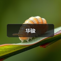 华骏（图4）