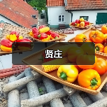 全案设计简约空间布局，客厅卧室等全屋展示
