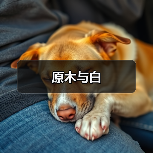 原木与白（图2）
