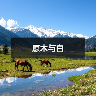 原木风简约设计 打造家庭宁静生活空间