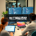 观江博园叠墅（图2）