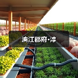 漓江郡府·淳（图4）