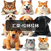 自然之色演绎四季情感 高颜值家装设计荣获金奖
