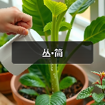 丛•简(图2) 丛•简(图2)