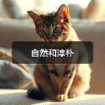 自然和淳朴（图3）