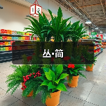 丛•简(图3) 丛•简(图3)