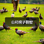 山和院子别墅（图4）
