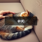 林间（图3）