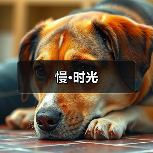 慢·时光（图2）