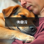 佛奥湾（图2）
