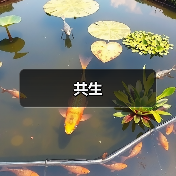 共生（图4）
