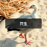 光影艺术与空间美学：现代家居设计典范