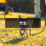 共生（图2）