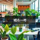 城市一号（图3）