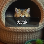 大玩家（图4）