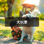 大玩家（图3）