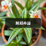 麓湖养园（图2）