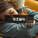 地王国际（图2）