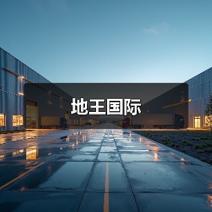 地王国际（图3）