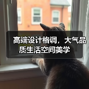 高端设计格调，大气品质生活空间美学（图2）