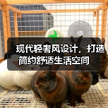 现代轻奢风设计，打造简约舒适生活空间（图2）