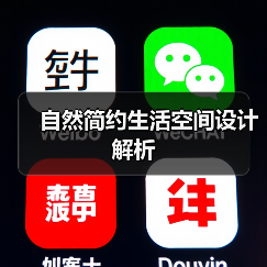 自然简约生活空间设计解析（图2）