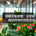 阴雨天怕发霉？没关系，我已经帮你找到合适的处理妙招！（图1）