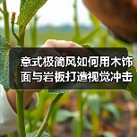 意式极简风如何用木饰面与岩板打造视觉冲击？（图1）