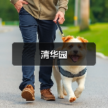 清华园（图2）