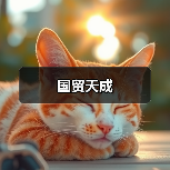 国贸天成（图2）