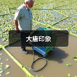 大唐印象（图1）