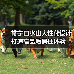 常宁口水山人性化设计打造高品质居住体验（图3）