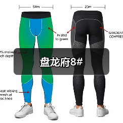 盘龙府8#（图2）