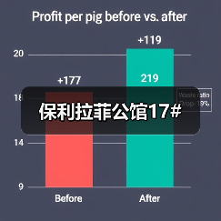 保利拉菲公馆17#（图3）