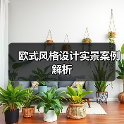欧式风格设计实景案例解析