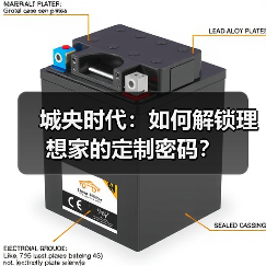 城央时代：如何解锁理想家的定制密码？（图3）