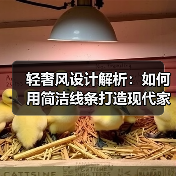 轻奢风设计解析：如何用简洁线条打造现代家居美学？
