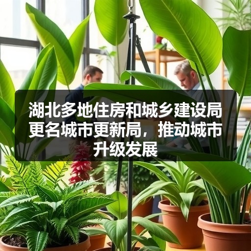 湖北多地住房和城乡建设局更名城市更新局,推动城市升级发展(图2) 湖北多地住房和城乡建设局更名城市更新局,推动城市升级发展(图2)
