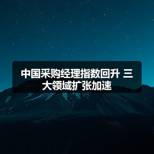中国采购经理指数回升 三大领域扩张加速(图1) 中国采购经理指数回升 三大领域扩张加速(图1)