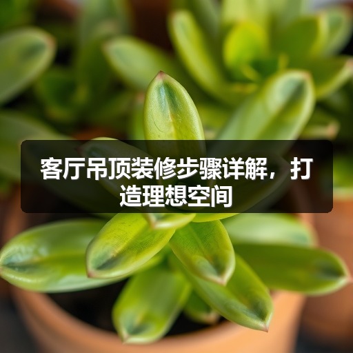 客厅吊顶装修步骤详解,打造理想空间(图1) 客厅吊顶装修步骤详解,打造理想空间(图1)