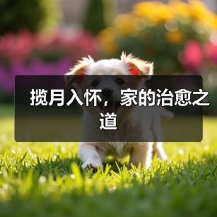 揽月入怀，家的治愈之道（图3）
