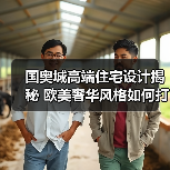 国奥城高端住宅设计揭秘 欧美奢华风格如何打造？（图4）