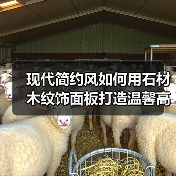 现代简约风如何用石材木纹饰面板打造温馨高级空间？（图3）