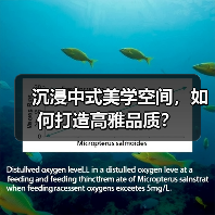 沉浸中式美学空间,如何打造高雅品质?(图2) 沉浸中式美学空间,如何打造高雅品质?(图2)