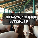 简约设计创新空间实用美学案例分享（图3）
