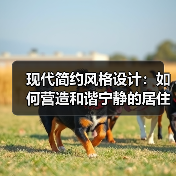 现代简约风格设计：如何营造和谐宁静的居住空间？