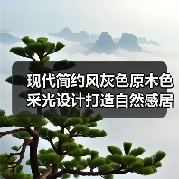 现代简约风灰色原木色采光设计打造自然感居所（图2）