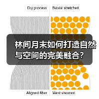 林间月末如何打造自然与空间的完美融合？