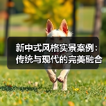 新中式风格实景案例：传统与现代的完美融合
