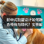 新中式别墅设计如何融合传统与现代？实景解析（图3）